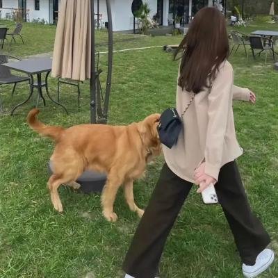 堕落街传奇第二季